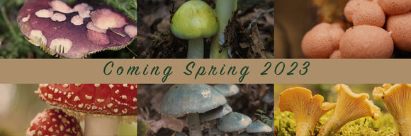 A collage of 6 types of mushroom in different colours overlayed with the text: Coming Spring 2023